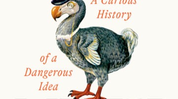 The Genius Myth